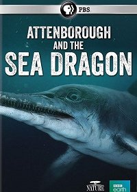 Аттенборо и Морской Дракон (2018) WEB-DLRip 720p