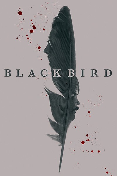 Чёрная птица (1 сезон: 1-6 серии из 6) (2022) WEB-DLRip 1080p | RG.Paravozik